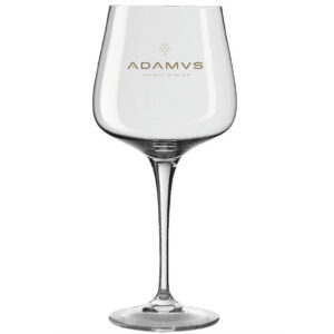 Adamus Copa Glass