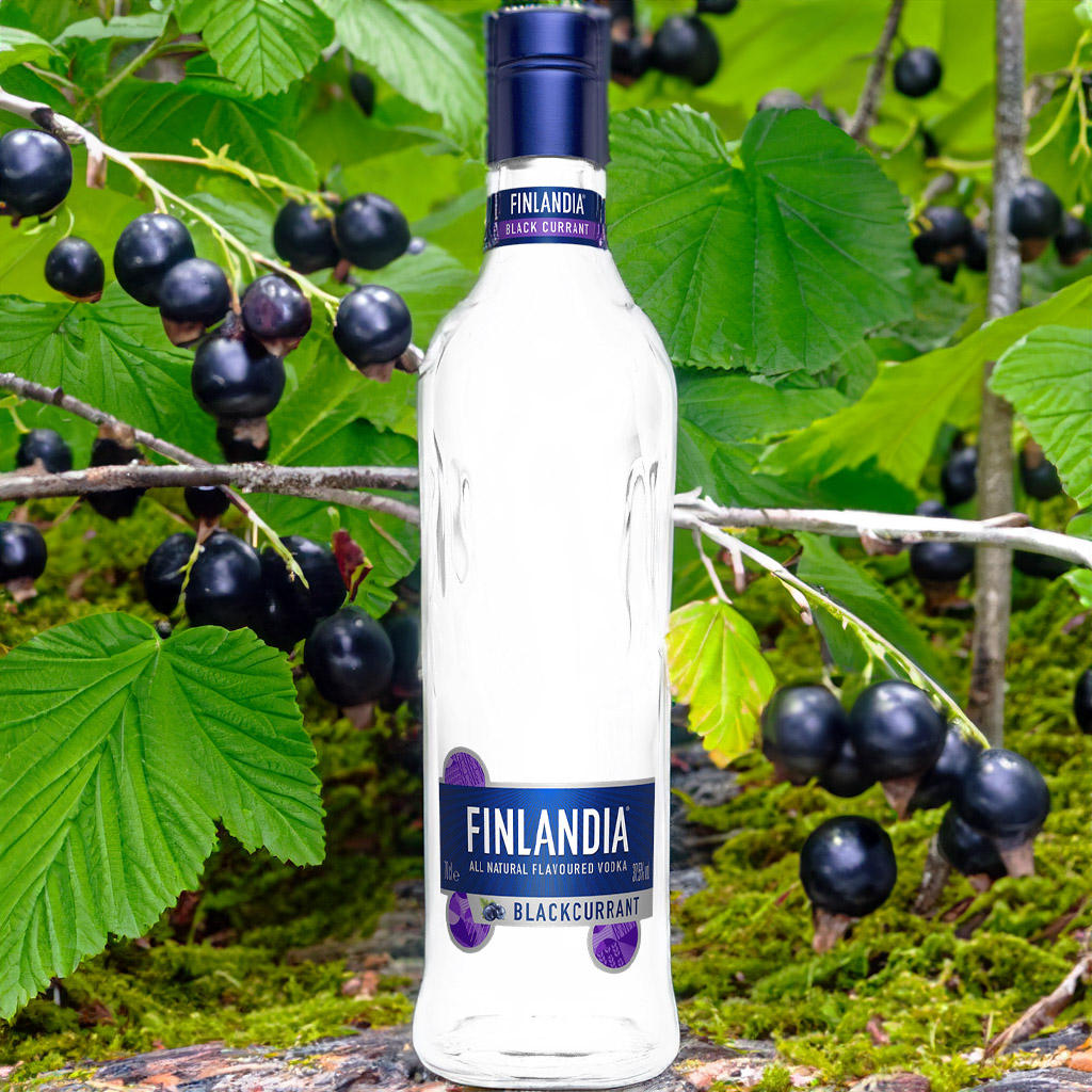 Finlandia Blackcurrant Vodka