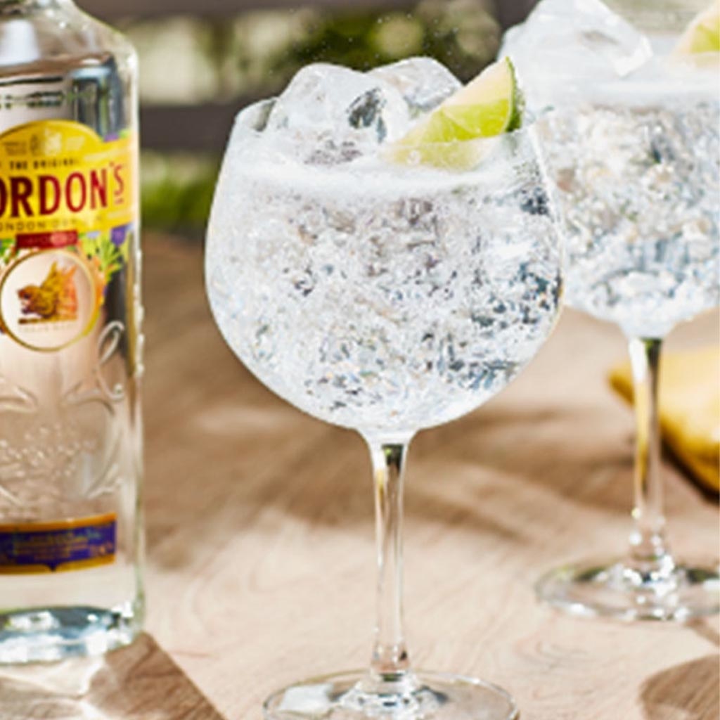 Gordon's London Dry Gin Perfect Serve