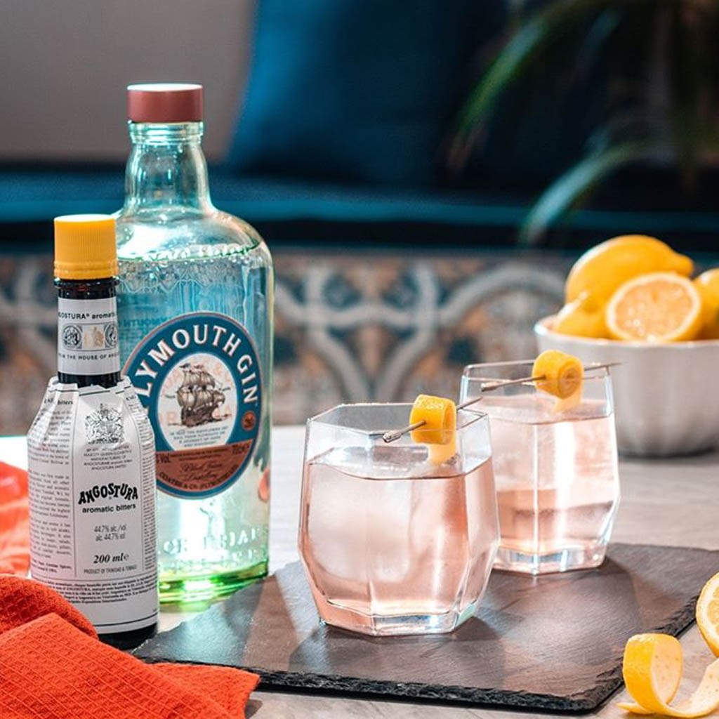 Plymouth Gin Perfect Serve